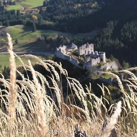 Апартаменты Anita's Nahe Neuschwanstein *