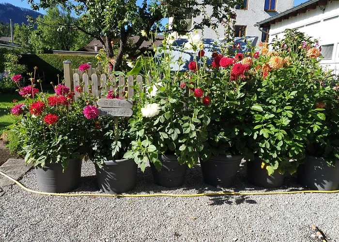 Apartamento Anita's Nahe Neuschwanstein Reutte