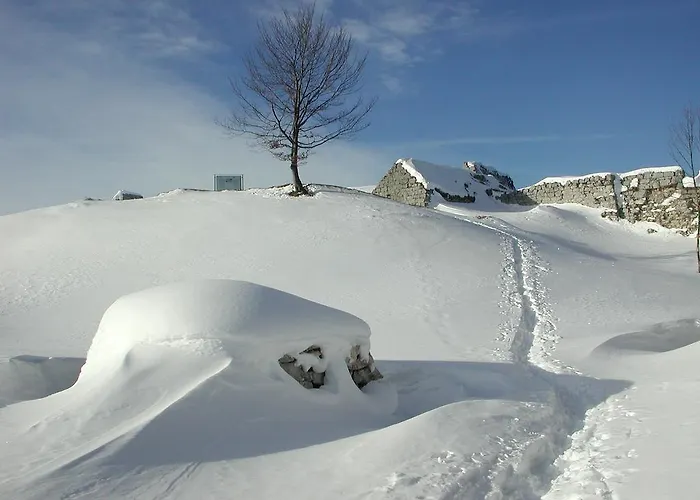 Apartamento Anita's Nahe Neuschwanstein *